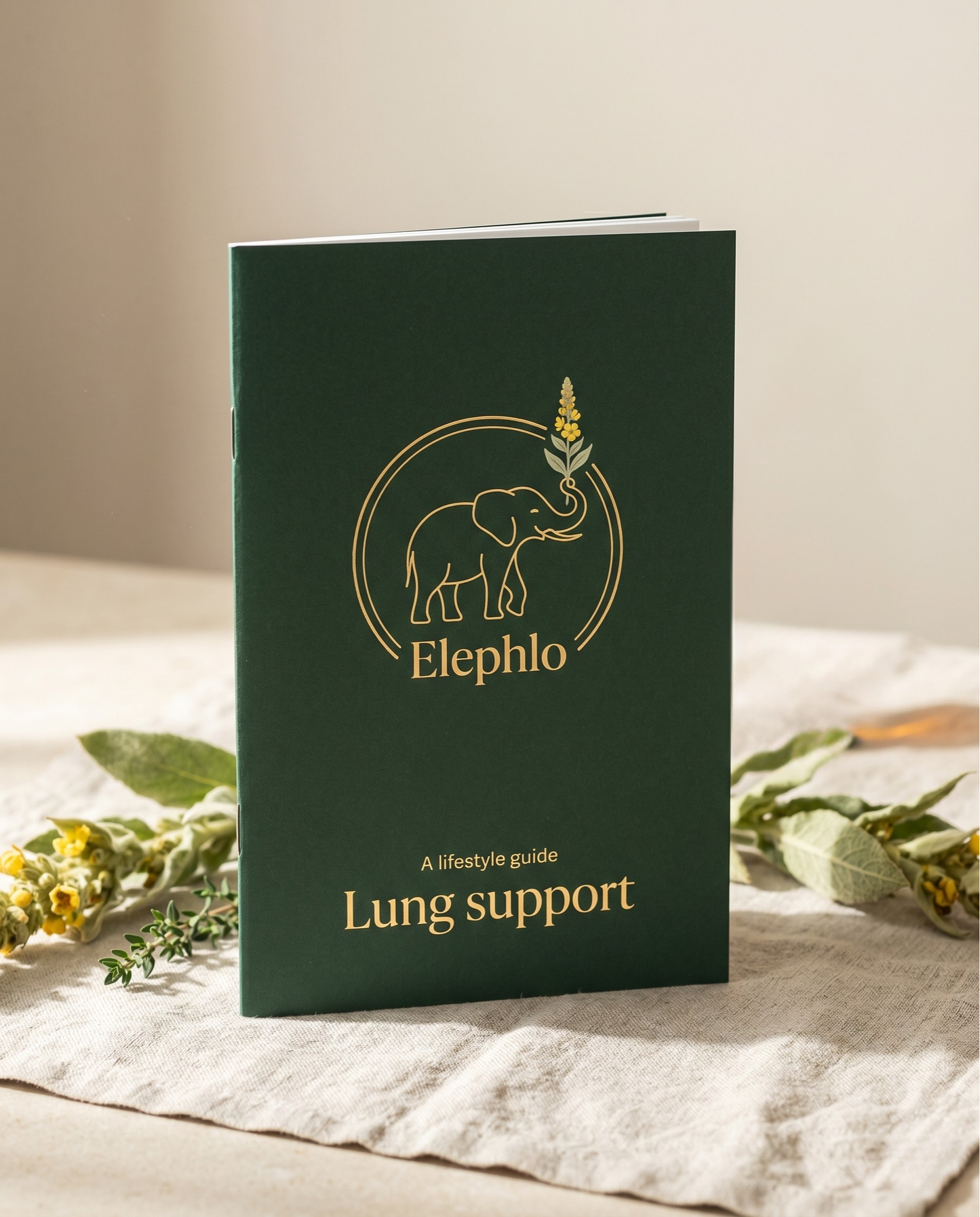 Lung Support Lifestyle Guide