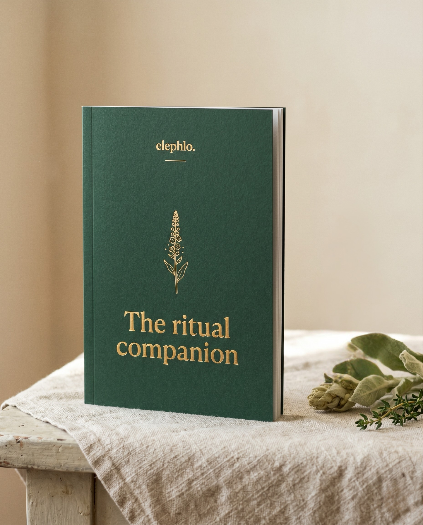 Daily Ritual Companion Guide